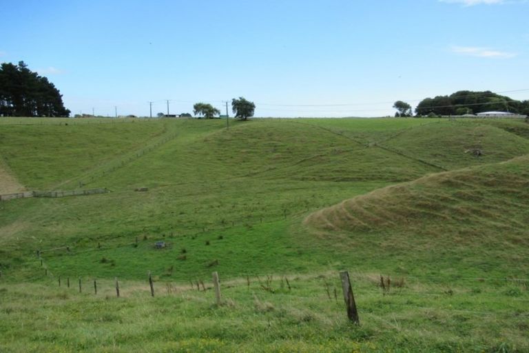 Photo of property in 81 Lindsay Road, Levin, 5510