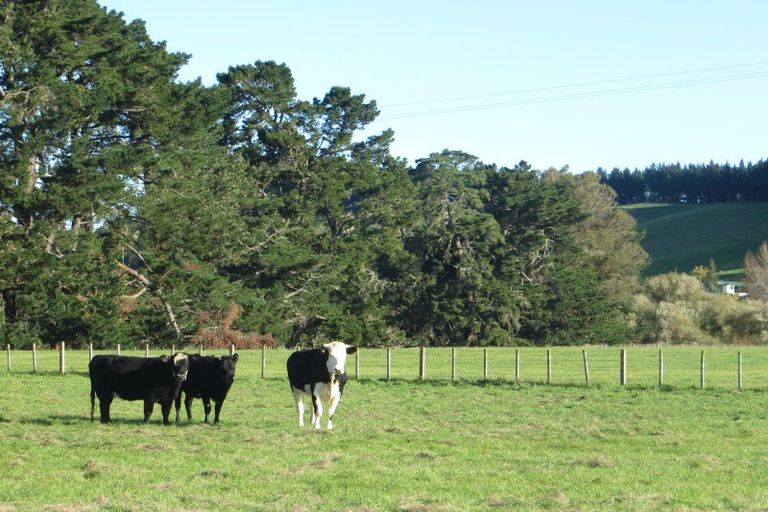 Photo of property in 3245 State Highway 2, Takapau, Waipukurau, 4281
