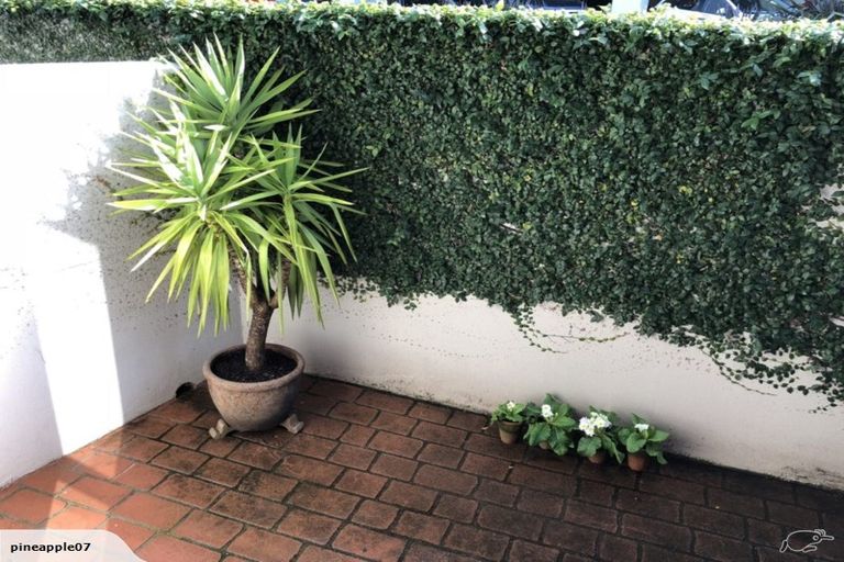 Photo of property in 1m/6 Burgoyne Street, Grey Lynn, Auckland, 1021