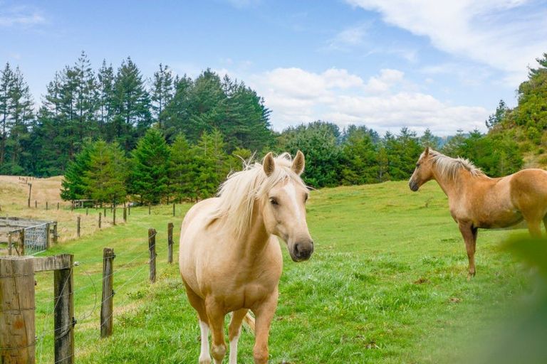 Photo of property in 49b Olds Road, Ngongotaha Valley, Rotorua, 3072