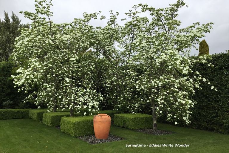 Photo of property in 87 Renall Street, Masterton, 5810