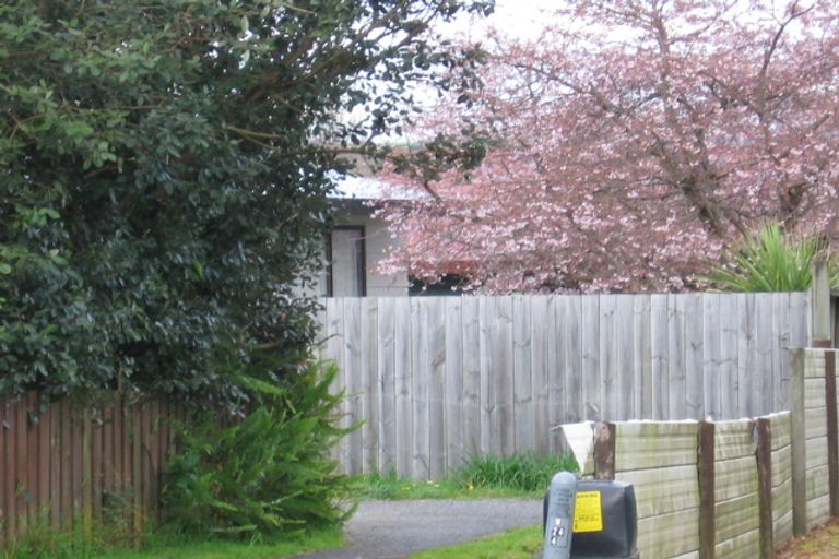 Photo of property in 16 College Place, Poike, Tauranga, 3112