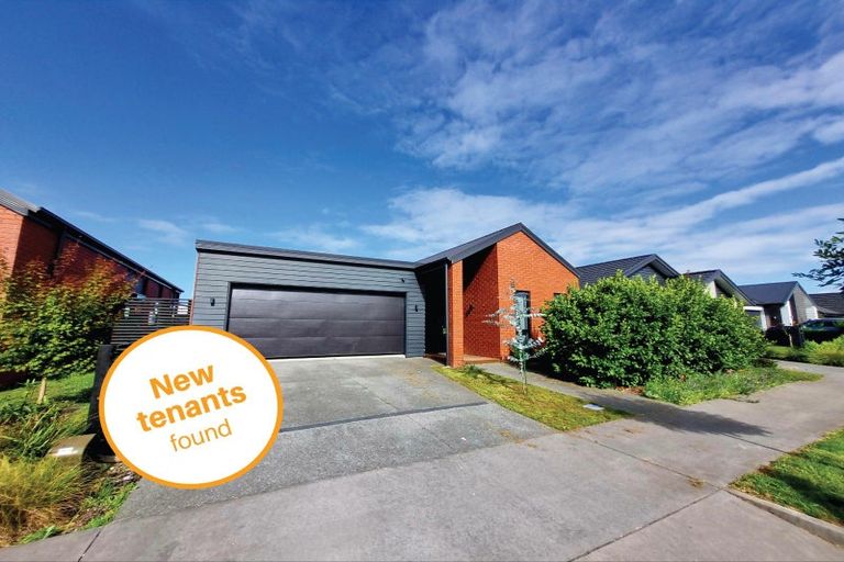 Photo of property in 19 Voight Avenue, Chartwell, Hamilton, 3210