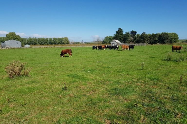 Photo of property in Hislop Road, Inch Clutha, Kaitangata, 9281