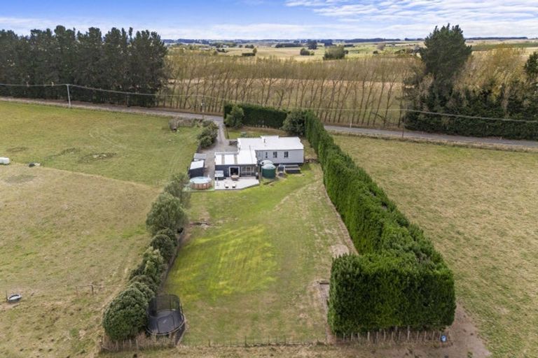 Photo of property in 501 Halcombe Road, Feilding, 4775