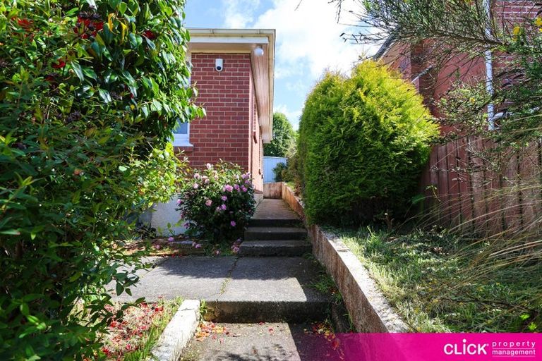 Photo of property in 11 Gilmore Street, Wakari, Dunedin, 9010