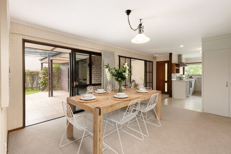 Photo of property in 3 Winchester Terrace, Bethlehem, Tauranga, 3110