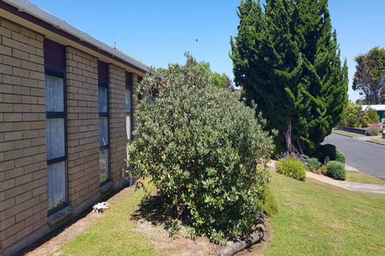 Photo of property in 44 Cobham Avenue, Dargaville, 0310