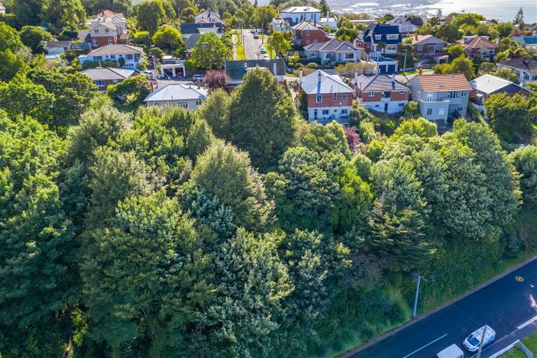 Photo of property in 20a Mcgeorge Avenue, Mornington, Dunedin, 9011