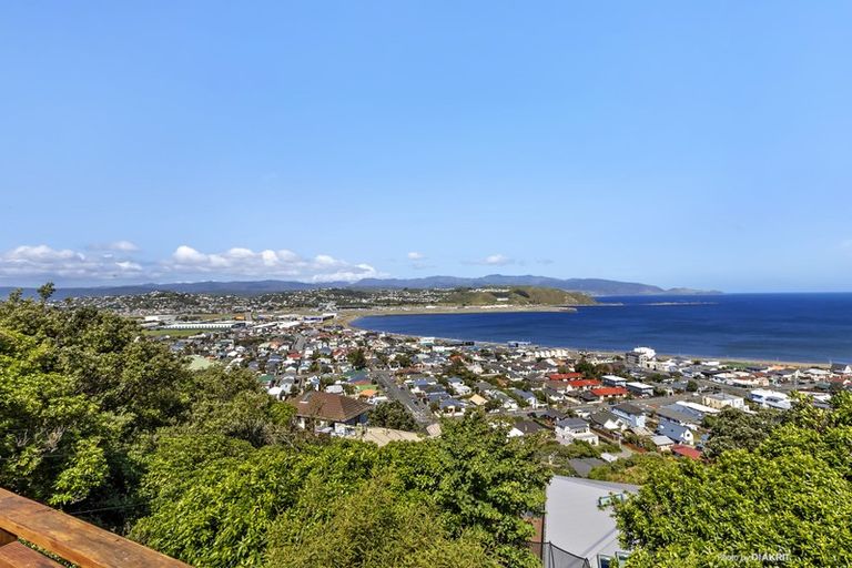 Photo of property in 45 Carlton Street, Melrose, Wellington, 6023