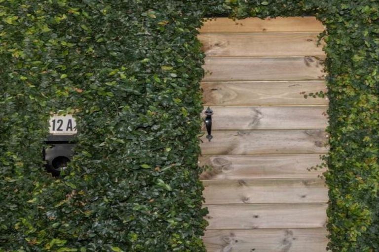 Photo of property in 12a Tomoana Road, Mahora, Hastings, 4120