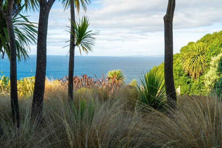 Photo of property in 25 Highgrove, Saint Clair, Dunedin, 9012