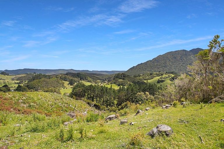 Photo of property in 259 Diggers Valley Road, Herekino, Kaitaia, 0481