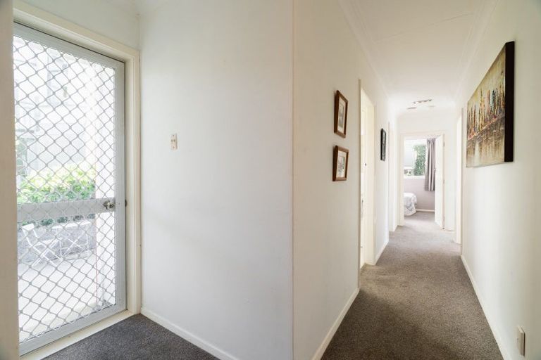 Photo of property in 36 Kilgour Street, Roslyn, Dunedin, 9010