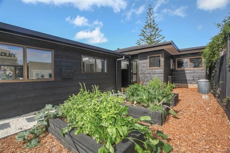 Photo of property in 4 Leonard Place, Dinsdale, Hamilton, 3204