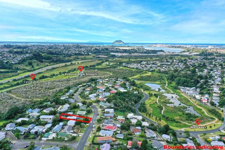 Photo of property in 87 Coopers Road, Gate Pa, Tauranga, 3112