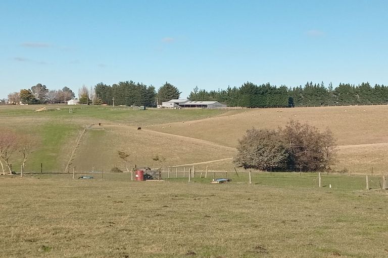 Photo of property in 86 Totara Island Road, Clifton, Balclutha, 9273