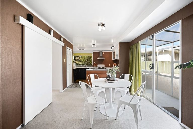 Photo of property in 17 Lancaster Street, Dinsdale, Hamilton, 3204