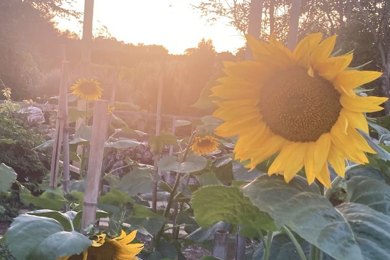 Photo of property in 125 Matangi Road, Matangi, Hamilton, 3284