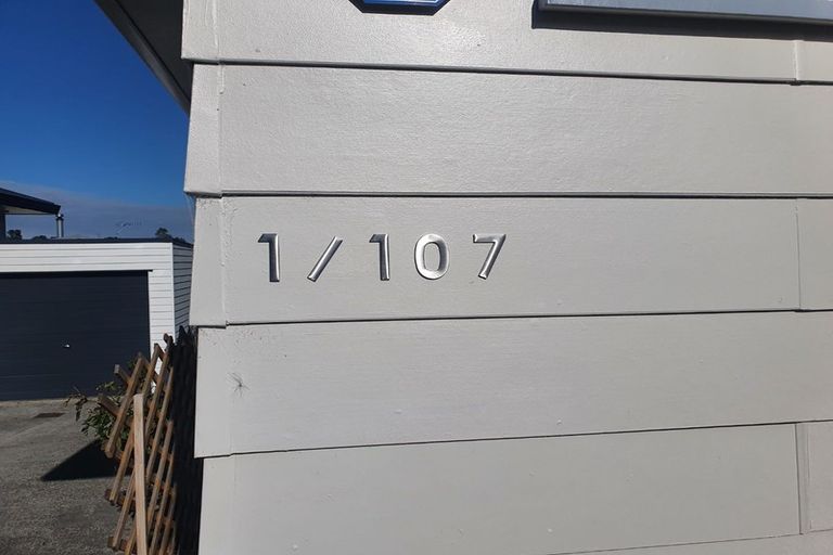 Photo of property in 1/107 Archmillen Avenue, Pakuranga Heights, Auckland, 2010