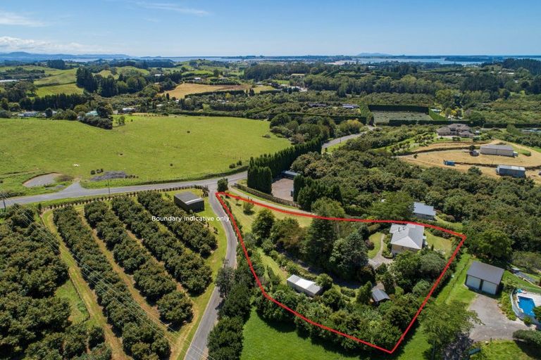 Photo of property in 29 Whakamarama Road, Whakamarama, Tauranga, 3179