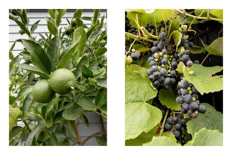 Photo of property in 26a Opal Drive, Papamoa Beach, Papamoa, 3118