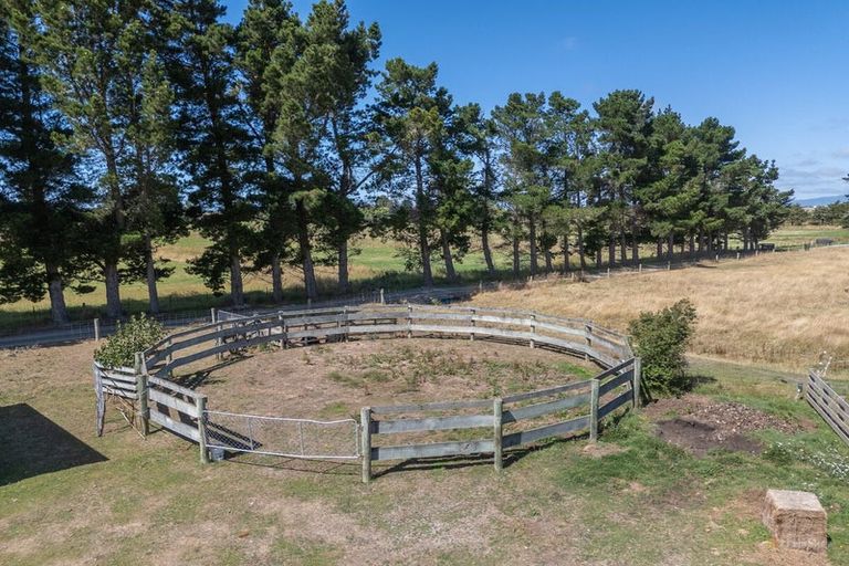 Photo of property in 50 Webb Road, Saint Andrews, Timaru, 7972