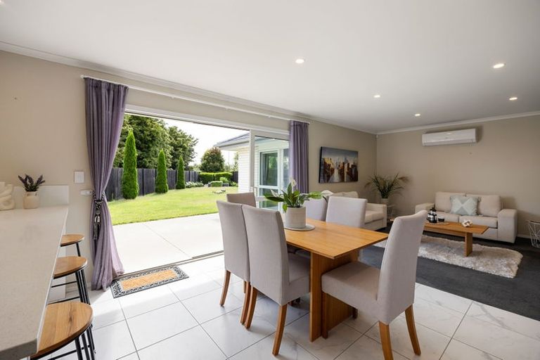 Photo of property in 16 Derwent Place, Flagstaff, Hamilton, 3210