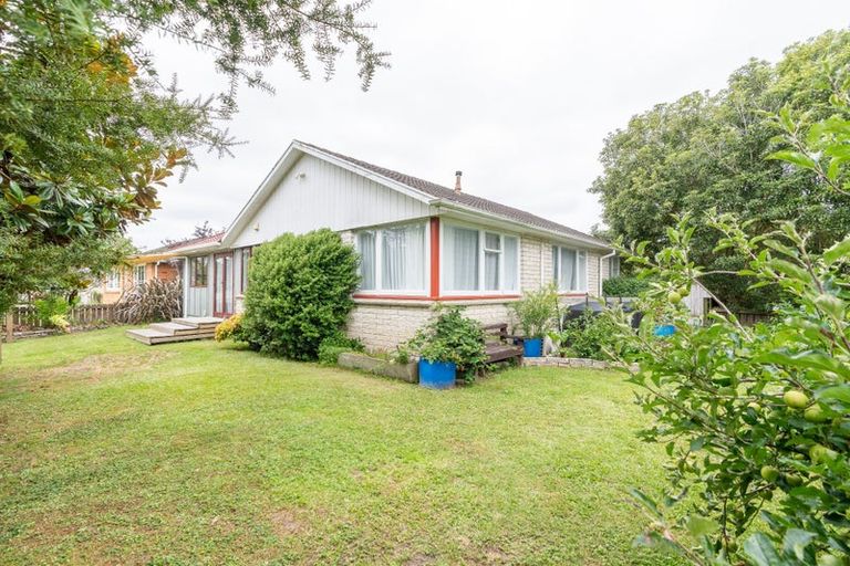 Photo of property in 26 Ryan Avenue, Chartwell, Hamilton, 3210