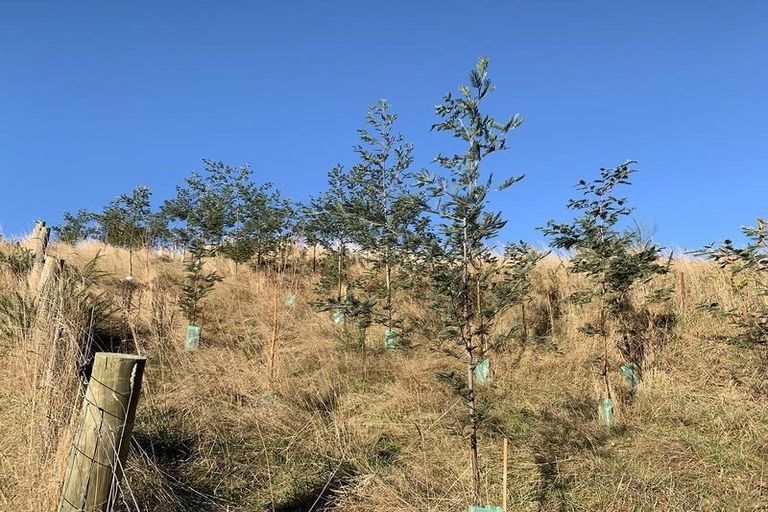 Photo of property in 61 Short Cut Road, Waitati, 9085