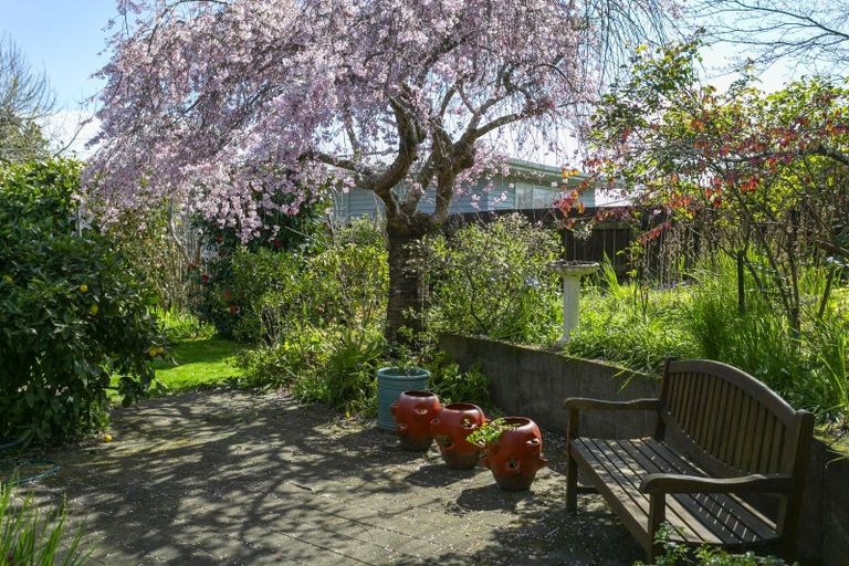 Photo of property in 31 Kotare Street, Hilltop, Taupo, 3330