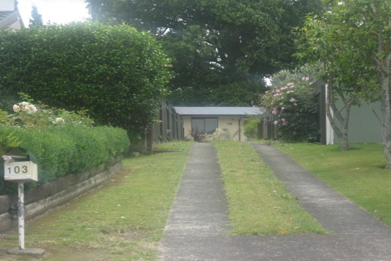 Photo of property in 103 Boucher Avenue, Te Puke, 3119