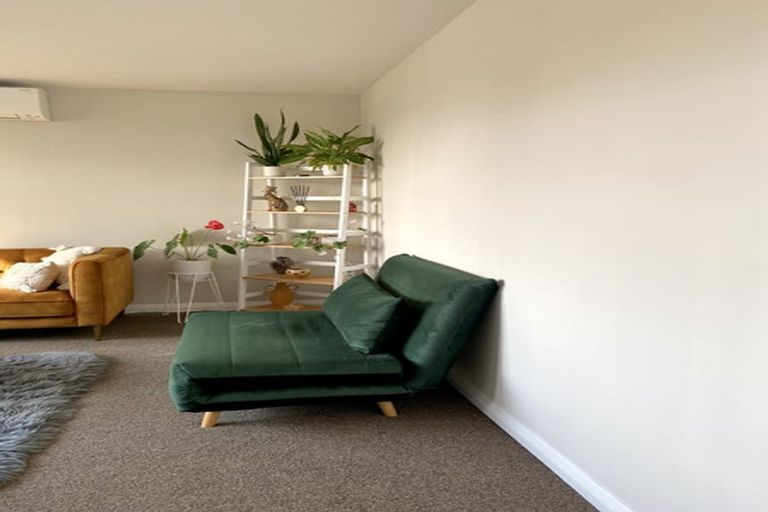 Photo of property in 162 The Ridgeway, Mornington, Wellington, 6021