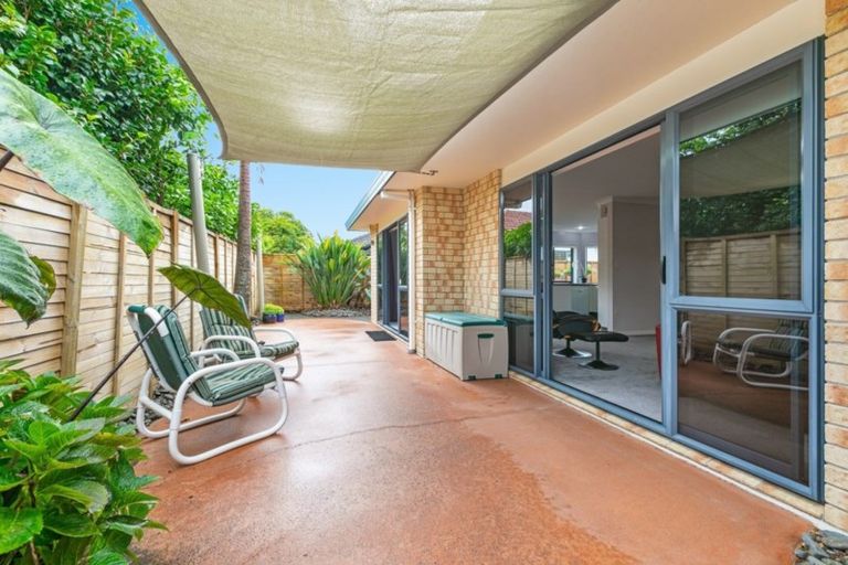 Photo of property in 58b Fourteenth Avenue, Tauranga South, Tauranga, 3112