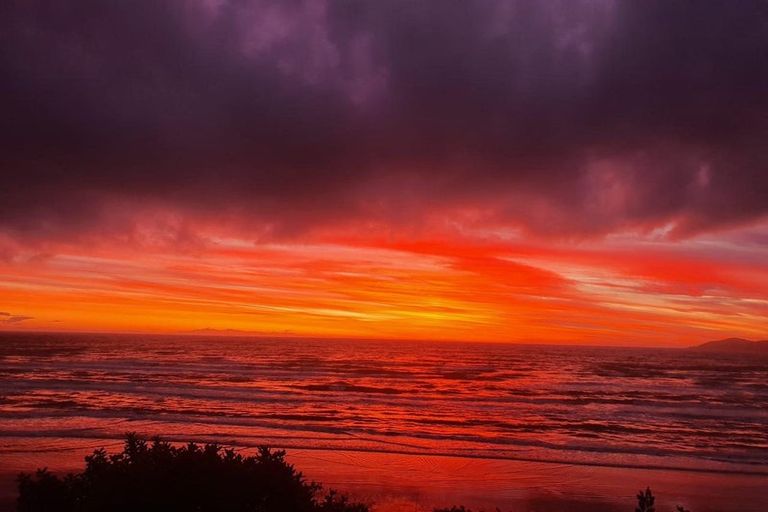 Photo of property in 155 Rosetta Road, Raumati South, Paraparaumu, 5032