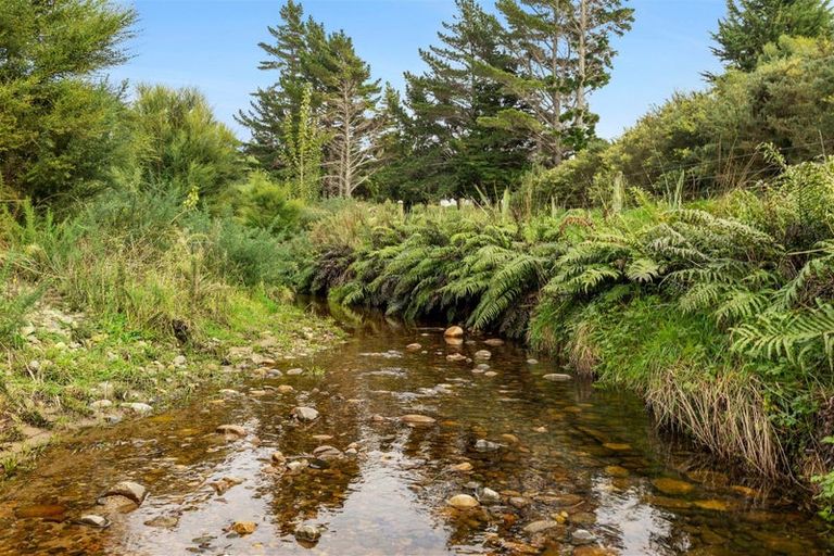 Photo of property in 39 Mcgowan Street, Puponga, Collingwood, 7073