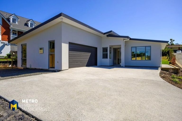 Photo of property in 2a Clayton Street, Saint Clair, Dunedin, 9012