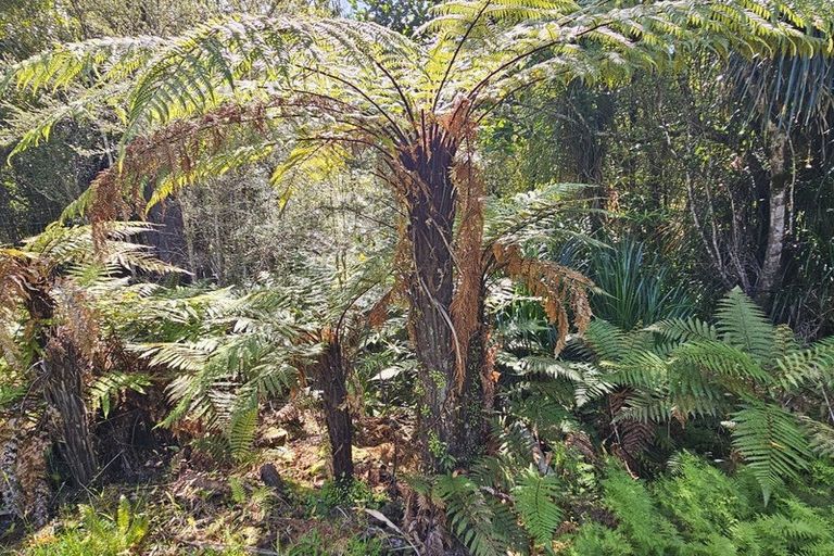 Photo of property in 215 Clifton Road, Kaiata, Greymouth, 7805