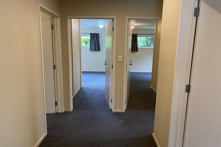 Photo of property in 53 Ilam Road, Upper Riccarton, Christchurch, 8041