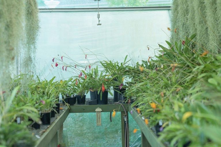 Photo of property in 50b Paul Road, Whenuakite, Whitianga, 3591