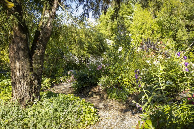 Photo of property in 8 Tripp Street, Geraldine, 7930