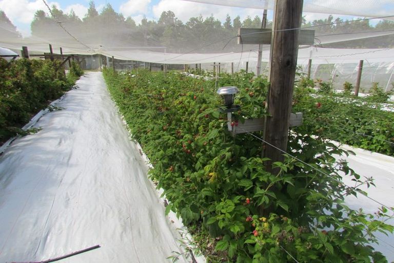 Photo of property in 71c Keri Downs Road, Kerikeri, 0294