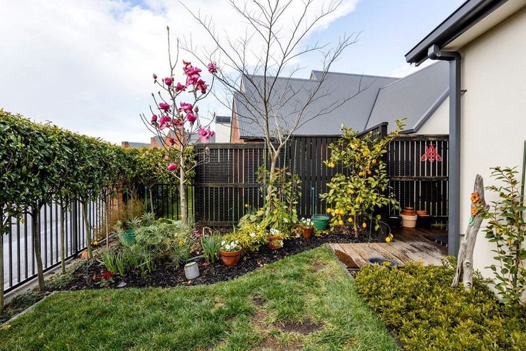 Photo of property in 6/30 Jarrett Terrace, Leamington, Cambridge, 3432