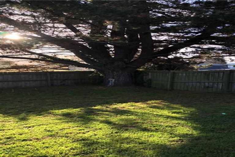 Photo of property in 78 Wrigley Road, Fordlands, Rotorua, 3015