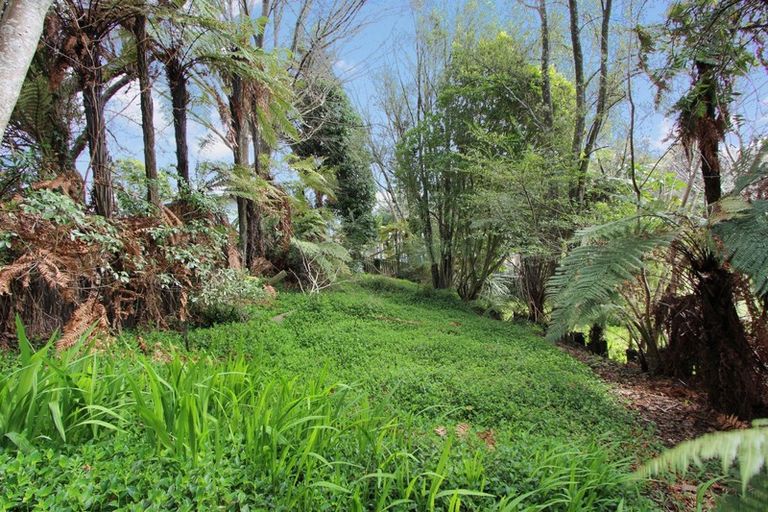 Photo of property in 77 Alison Street, Mangakakahi, Rotorua, 3015