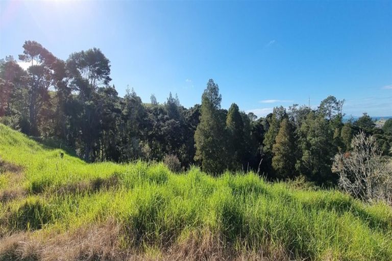 Photo of property in 92 Vaughans Road, Long Bay, Auckland, 0792