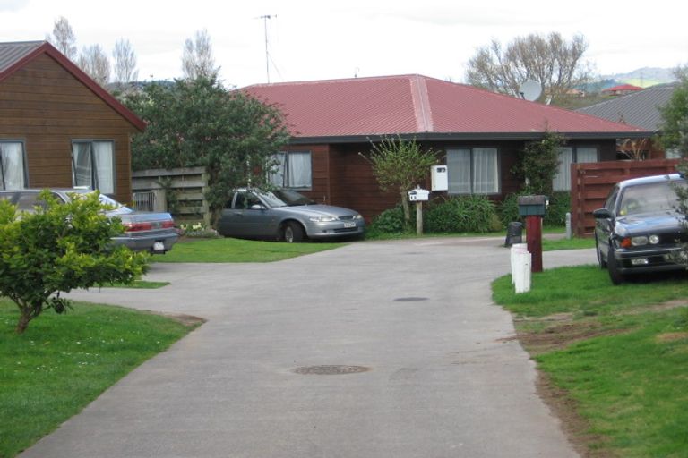 Photo of property in 8a College Place, Poike, Tauranga, 3112