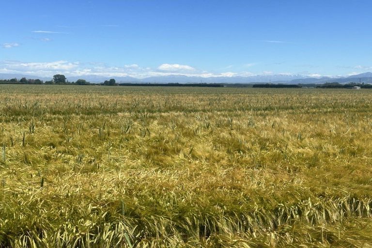 Photo of property in 21 Dominion Road, Kerrytown, Timaru, 7973