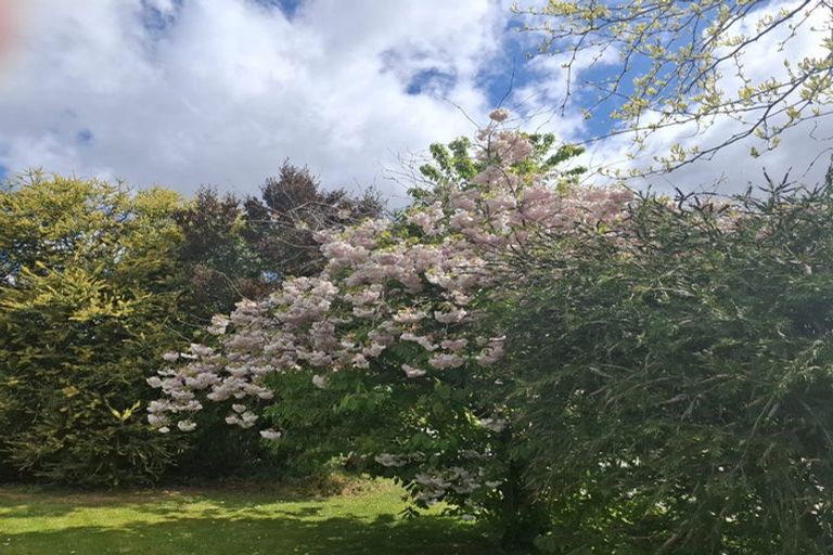 Photo of property in 65 Rhodes Street, Waimate, 7924