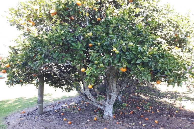 Photo of property in 68 Otaraoa Road, Motunui, Waitara, 4383